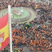El sector agrario cordobés protesta en Madrid