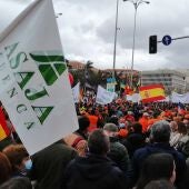 20.000 agricultores, ganaderos y cazadores de Castilla-La Mancha participaron en la manifestación de este domingo en Madrid 