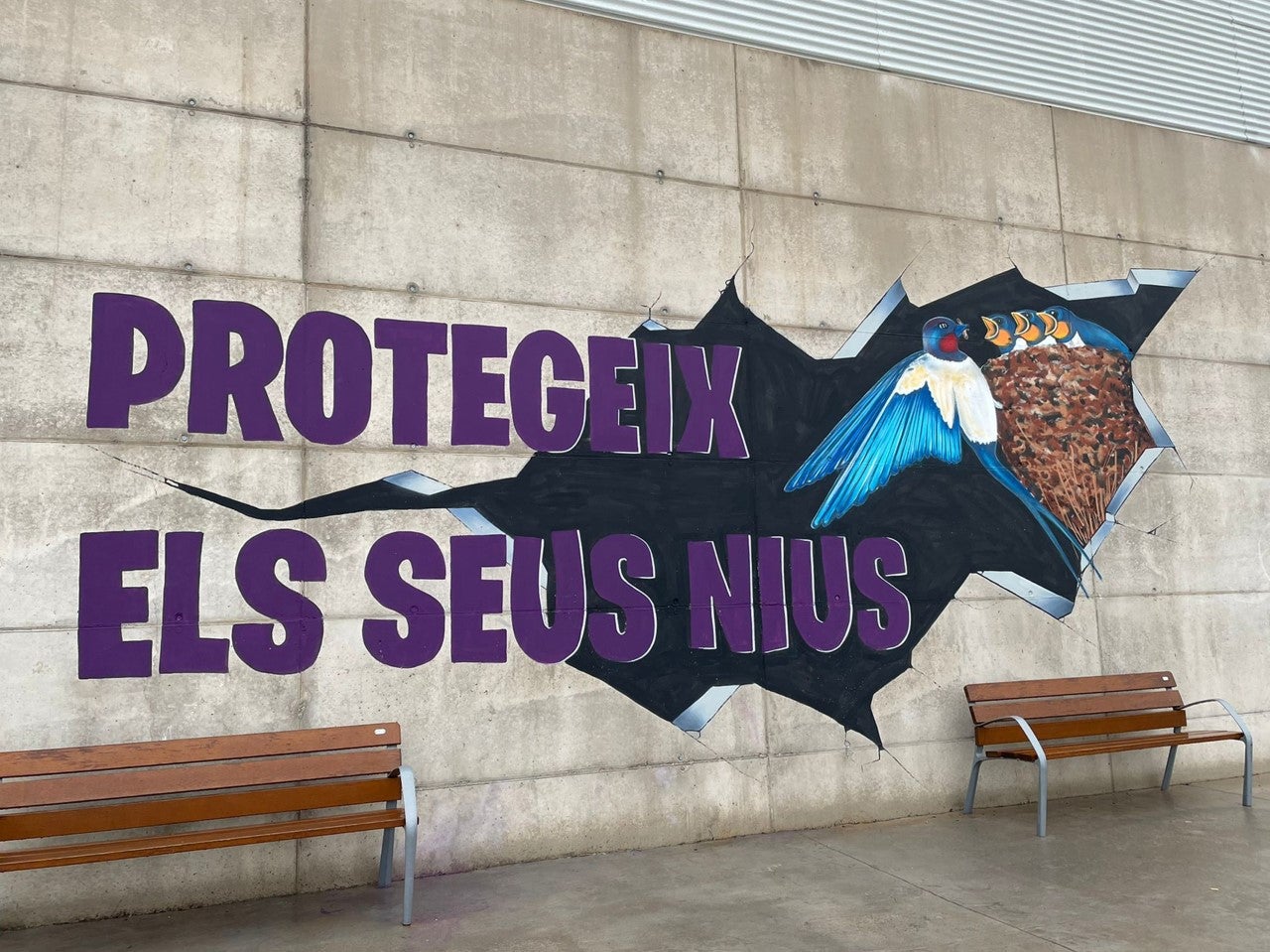 Mes oronetes és menys mosquits, la campaña de Acció Ecologista Agró para respetar los nidos de las aves mosquiteras Mes oronetes és menys mosquits, la campaña de Acció Ecologista Agró para respetar los nidos de las aves mosquiteras