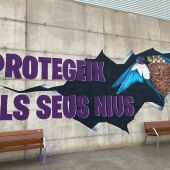 sagunto mosquiteros