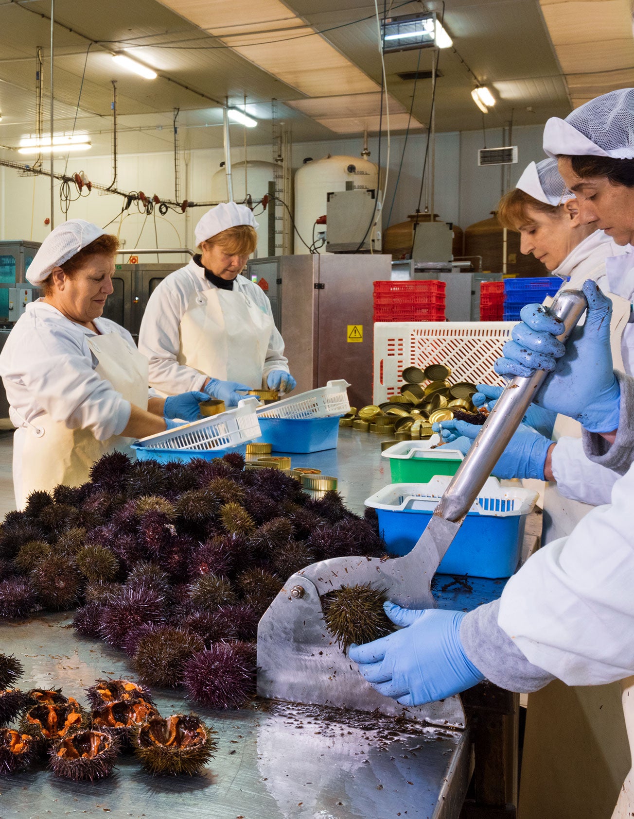 Más de Uno Gijón 22/03/2022 Más de Uno Gijón 22/03/2022