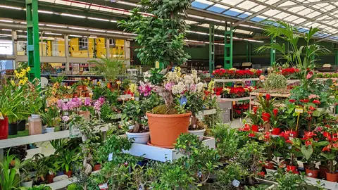 Instalaciones de 'La Cooperativa' en Gijón Instalaciones de 'La Cooperativa' en Gijón