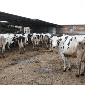 Productores y ganaderos de Castilla - La Mancha piden soluciones inmediatas ante el paro patronal de transporte
