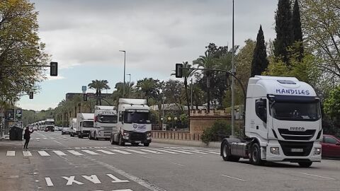 Protesta transportistas en el Paseo de la Victoria