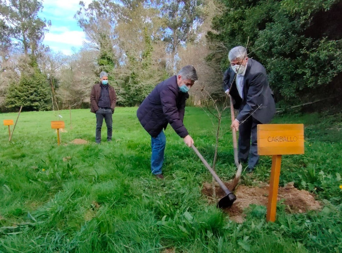 A Xunta conmemora o día internacional dos bosques con plantacións de especies autóctonas A Xunta conmemora o día internacional dos bosques con plantacións de especies autóctonas