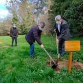 A Xunta conmemora o día internacional dos bosques con plantacións de especies autóctonas A Xunta conmemora o día internacional dos bosques con plantacións de especies autóctonas