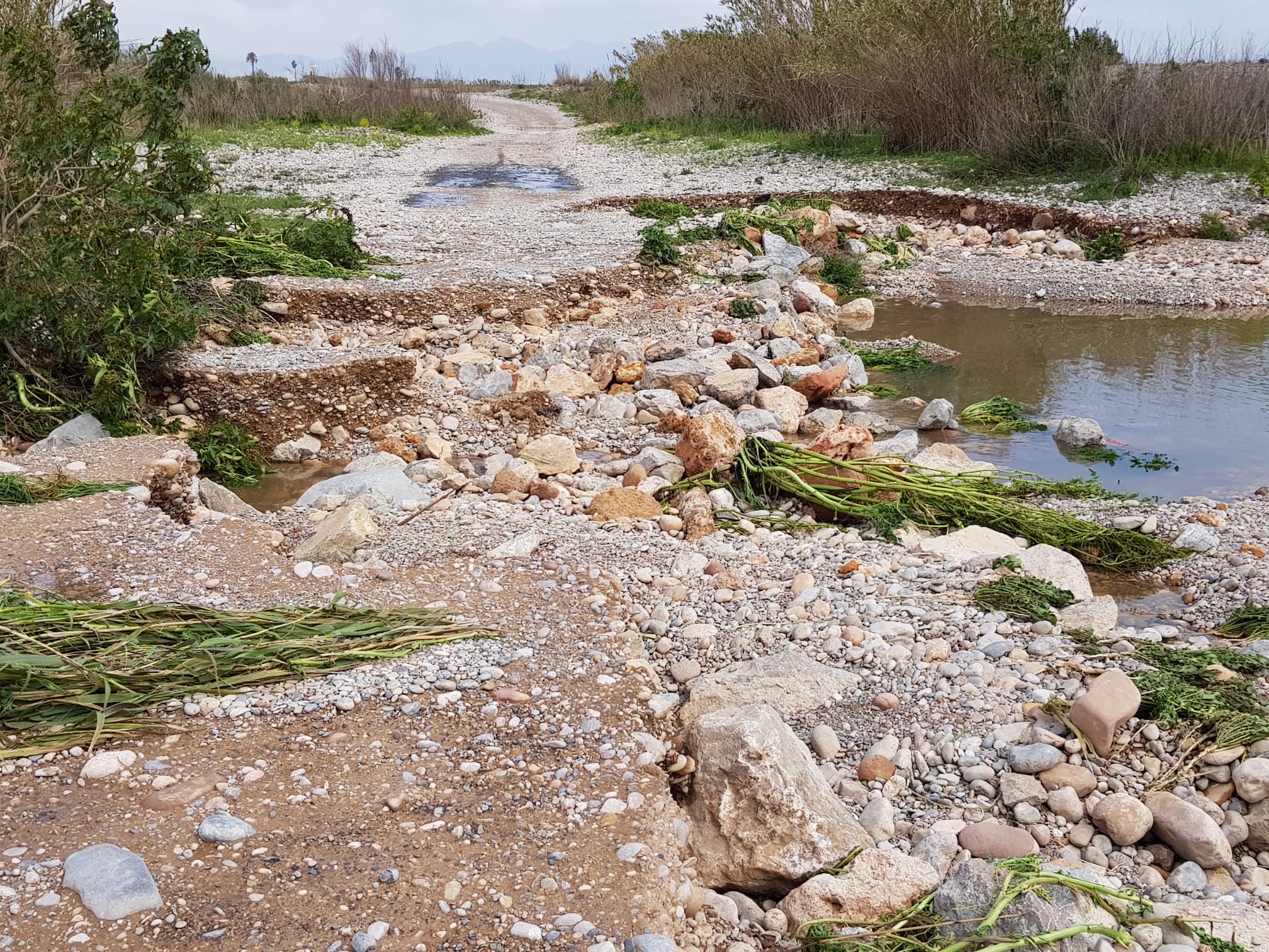 La Gola sur del Paisaje Protegido de la Desembocadura del riu Millars se abre nuevamente al mar después de estar un año cerrada La Gola sur del Paisaje Protegido de la Desembocadura del riu Millars se abre nuevamente al mar después de estar un año cerrada