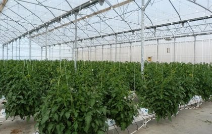 Once detenidos tras el fraude de casi 2,5 millones por la construcción de invernaderos en Roquetas Once detenidos tras el fraude de casi 2,5 millones por la construcción de invernaderos en Roquetas