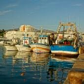 Puerto pesquero Marbella