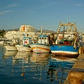 Puerto pesquero Marbella Puerto pesquero Marbella