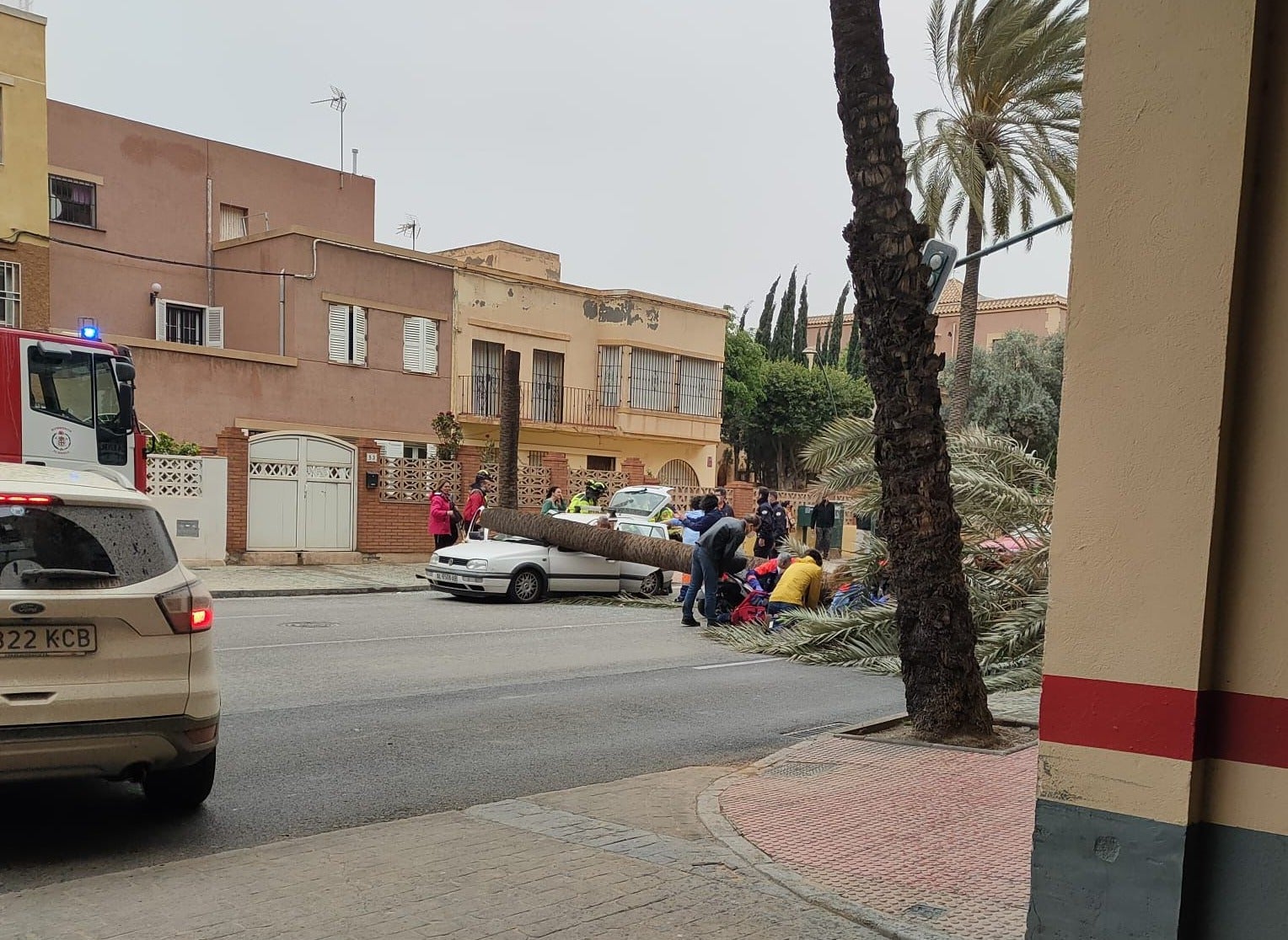 Sigue en estado grave el conductor herido por la caída de una palmera en la Avenida de Cabo de Gata Sigue en estado grave el conductor herido por la caída de una palmera en la Avenida de Cabo de Gata