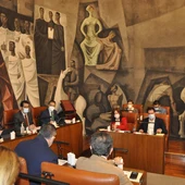Pleno de la Diputación celebrado este viernes Pleno de la Diputación celebrado este viernes