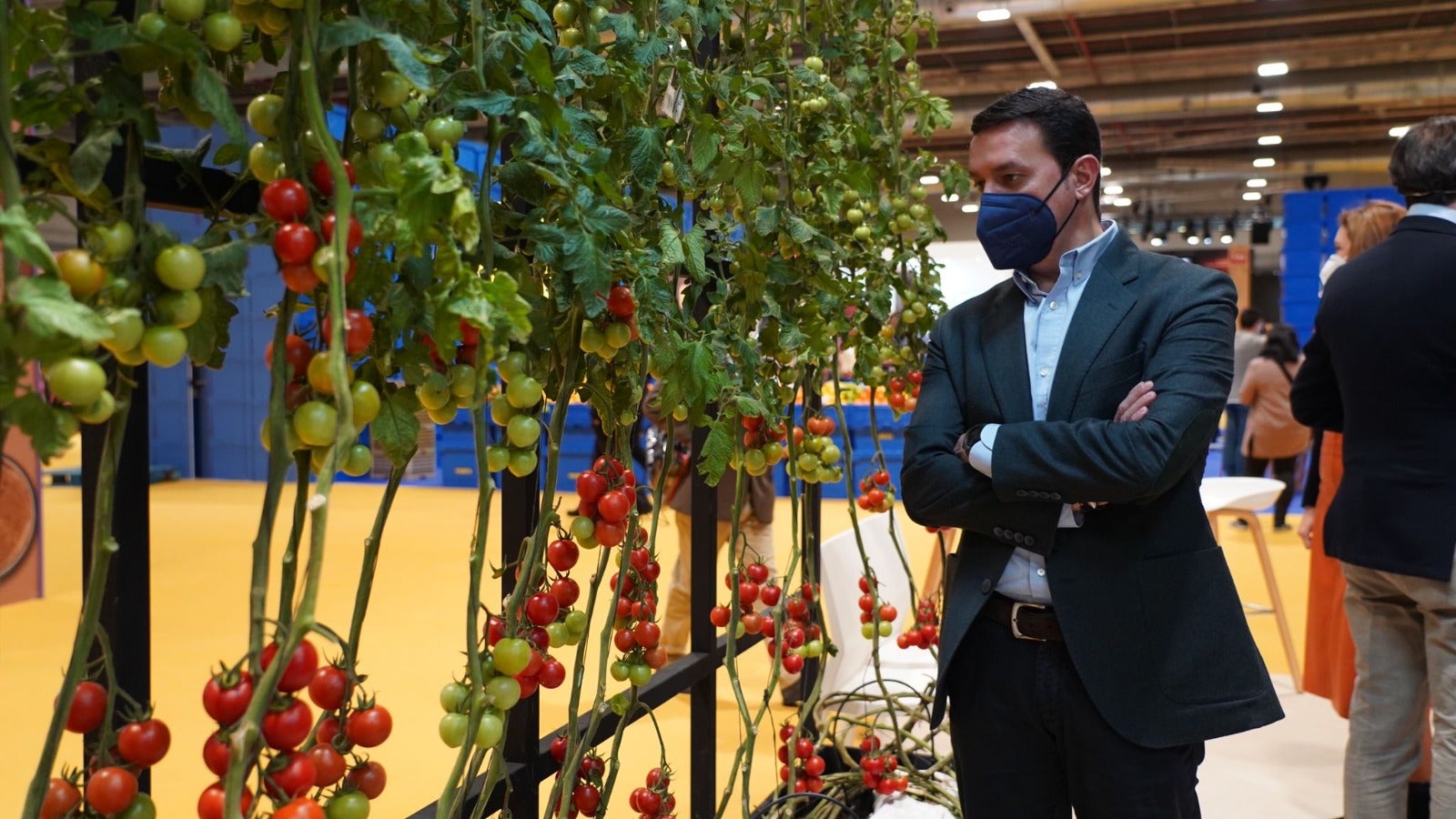 El invernadero de 'Sabores Almería' acapara todas las miradas en Madrid Fusión El invernadero de 'Sabores Almería' acapara todas las miradas en Madrid Fusión