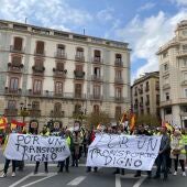 Manifestación de transportistas a pie en el centro de Granada