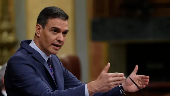 Pedro Sánchez da explicaciones en el Congreso. Pedro Sánchez da explicaciones en el Congreso. / Efe