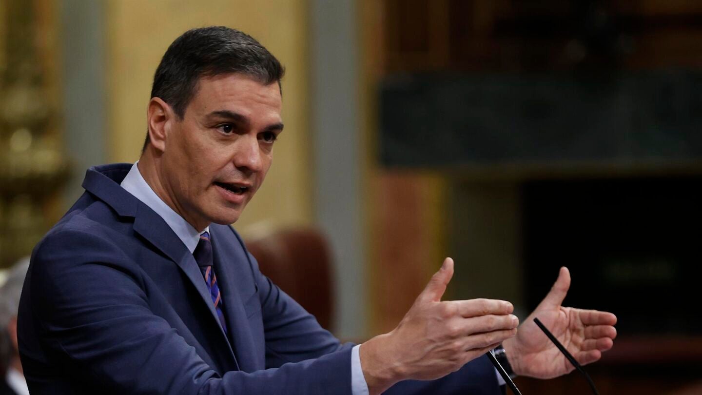 Pedro S&aacute;nchez da explicaciones en el Congreso. / Efe