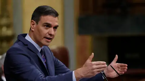 Pedro Sánchez da explicaciones en el Congreso. Pedro Sánchez da explicaciones en el Congreso. / Efe