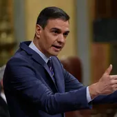 Pedro Sánchez da explicaciones en el Congreso. / Efe Pedro Sánchez da explicaciones en el Congreso. / Efe