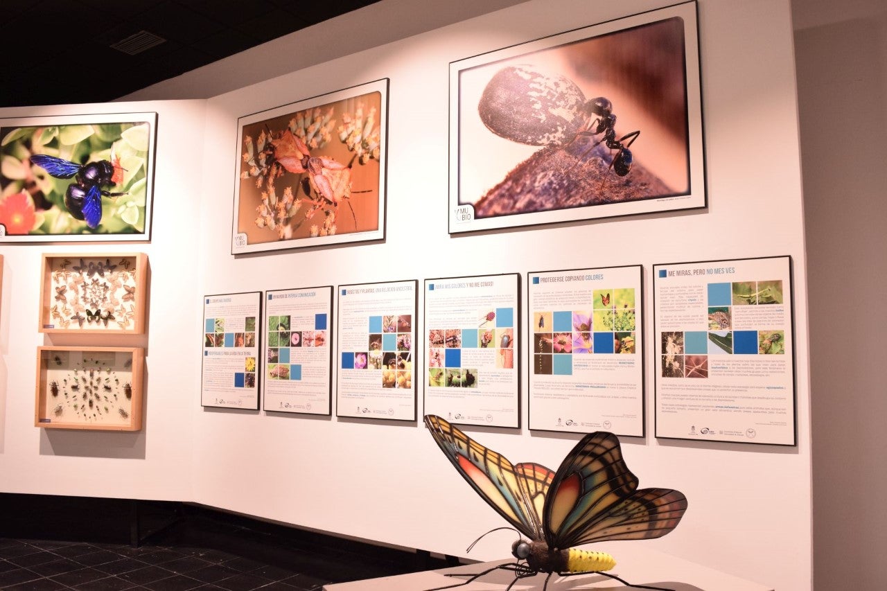 Una visión desde la Universidad de Alicante: 'Clima y biodiversidad en un mundo cambiante' Una visión desde la Universidad de Alicante: 'Clima y biodiversidad en un mundo cambiante'