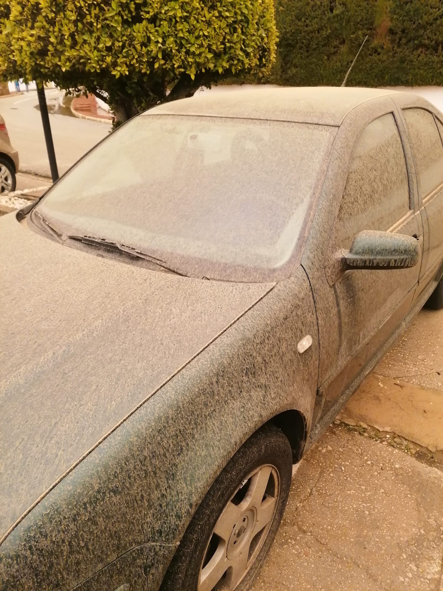 Empresas y servicios de limpieza devuelven el aspecto normal a Marbella tras el temporal Empresas y servicios de limpieza devuelven el aspecto normal a Marbella tras el temporal