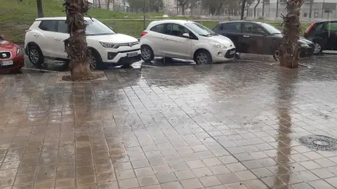 Apenas ha llovido en Alicante durante el último trimestre del año Apenas ha llovido en Alicante durante el último trimestre del año