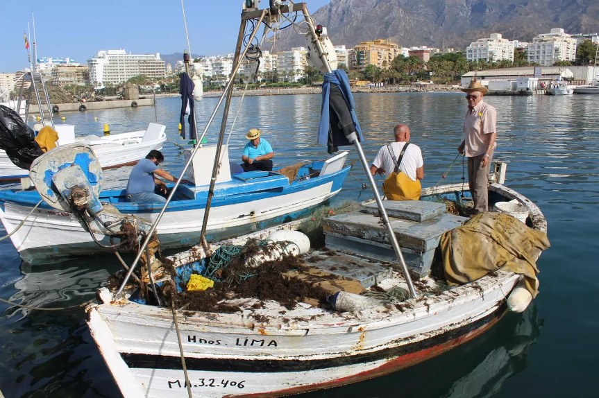 El sector pesquero marbellí, descontento con las medidas propuestas por el Gobierno El sector pesquero marbellí, descontento con las medidas propuestas por el Gobierno