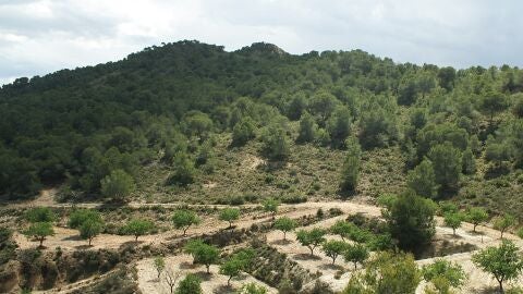 sierra escalona vias pecuarias