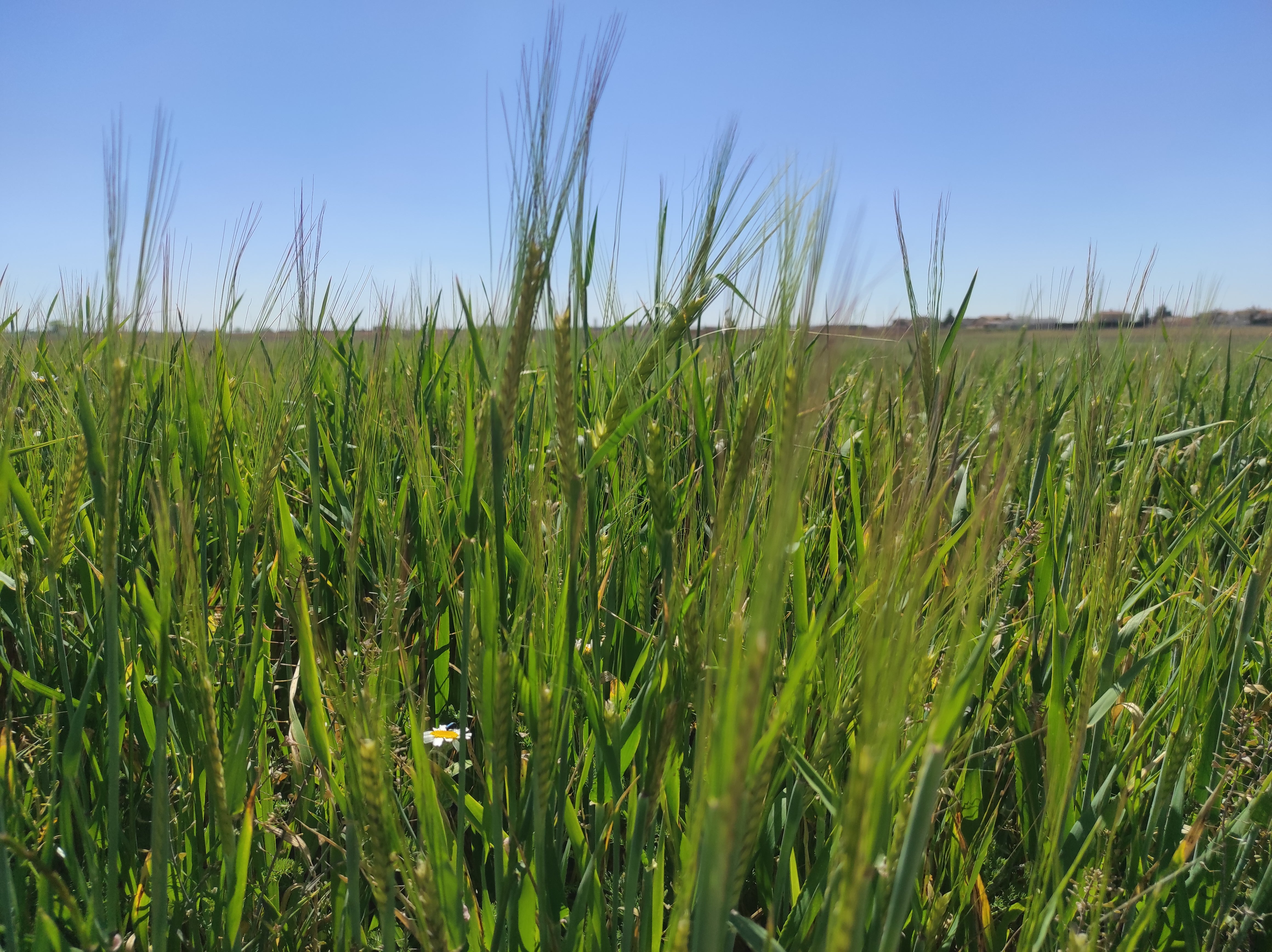 La Brújula de Extremadura La Brújula de Extremadura