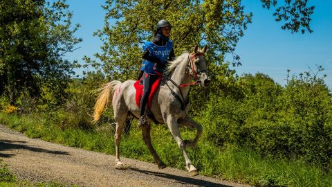 Raid a caballo