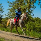 Raid a caballo