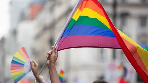 bandera LGTBI+ bandera LGTBI+