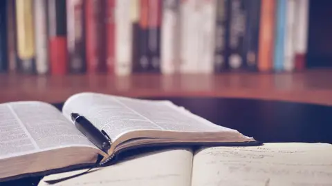 Eduardo Infante, profesor de filosofía: "En este decreto hay mucha estupidez" Pixabay