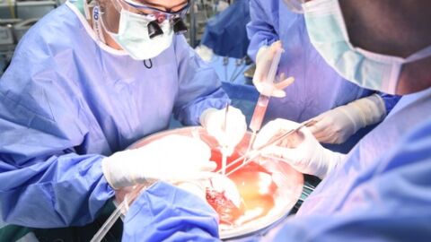 Sanitarios en plena implantaci&oacute;n de &oacute;rganos