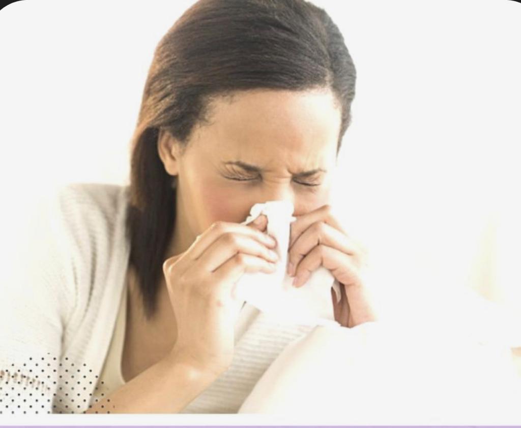 Las lluvias de los últimos días en Alicante disparan las alergias Las lluvias de los últimos días en Alicante disparan las alergias