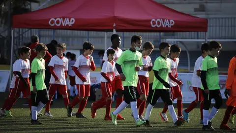 Varios estudios relacionan la falta de equilibrio entre sistema inmunitario y microbiota con el desarrollo de enfermedades Varios estudios relacionan la falta de equilibrio entre sistema inmunitario y microbiota con el desarrollo de enfermedades