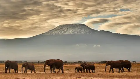 kilimanjaro kilimanjaro