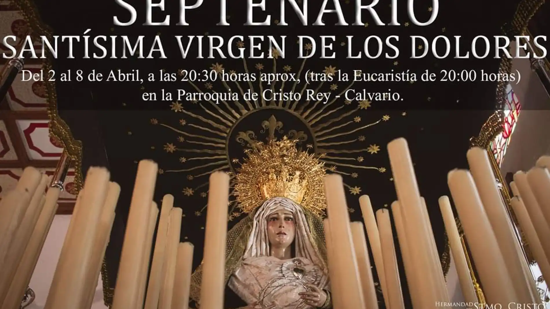 Cartel Cartel