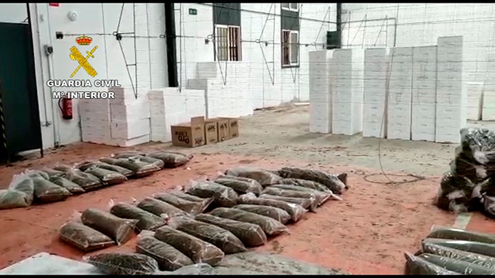 Se incautan 100.000 plantas de marihuana en una macro-operación en El Ejido, Córdoba y Barcelona Se incautan 100.000 plantas de marihuana en una macro-operación en El Ejido, Córdoba y Barcelona