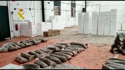 Incautadas más de 100.000 plantas de marihuana en una operación antidroga en Almería, Córdoba y Barcelona Incautadas más de 100.000 plantas de marihuana en una operación antidroga en Almería, Córdoba y Barcelona