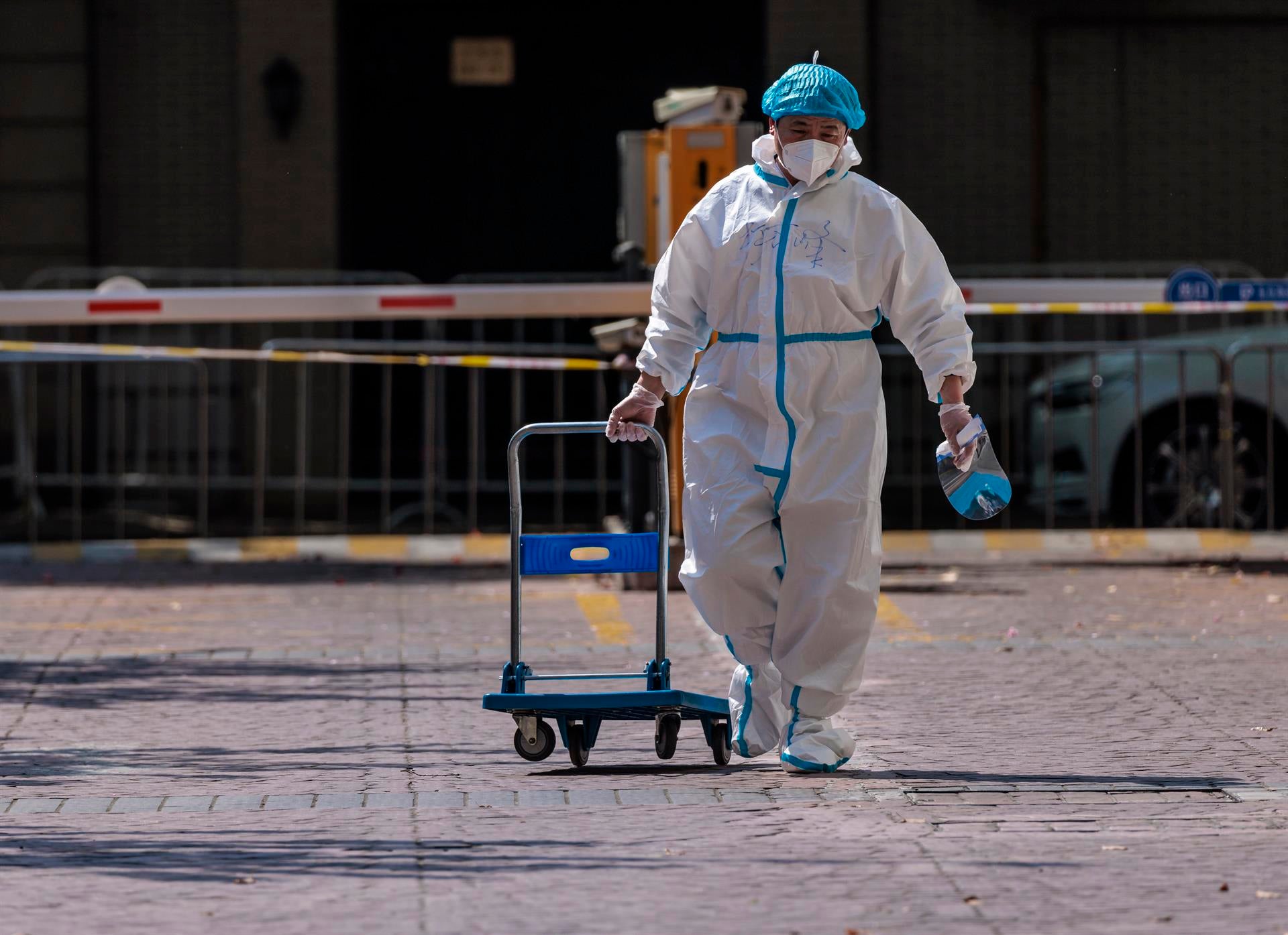 La OMS confirma la existencia de dos nuevas variantes del Covid: así son BA.4 y BA.5, sublinajes de Ómicron La OMS confirma la existencia de dos nuevas variantes del Covid: así son BA.4 y BA.5, sublinajes de Ómicron