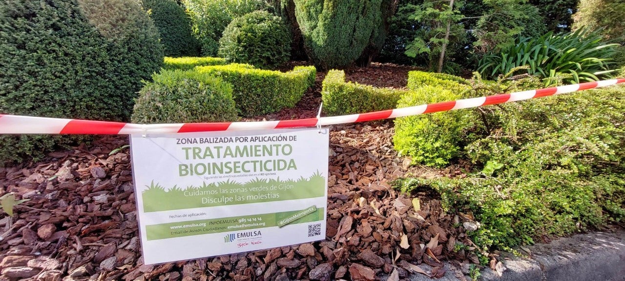 Emulsa desarrolla una campaña para frenar la aparición de la oruga del boj Emulsa desarrolla una campaña para frenar la aparición de la oruga del boj