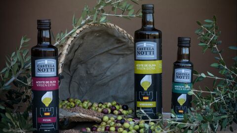 Castelanotti