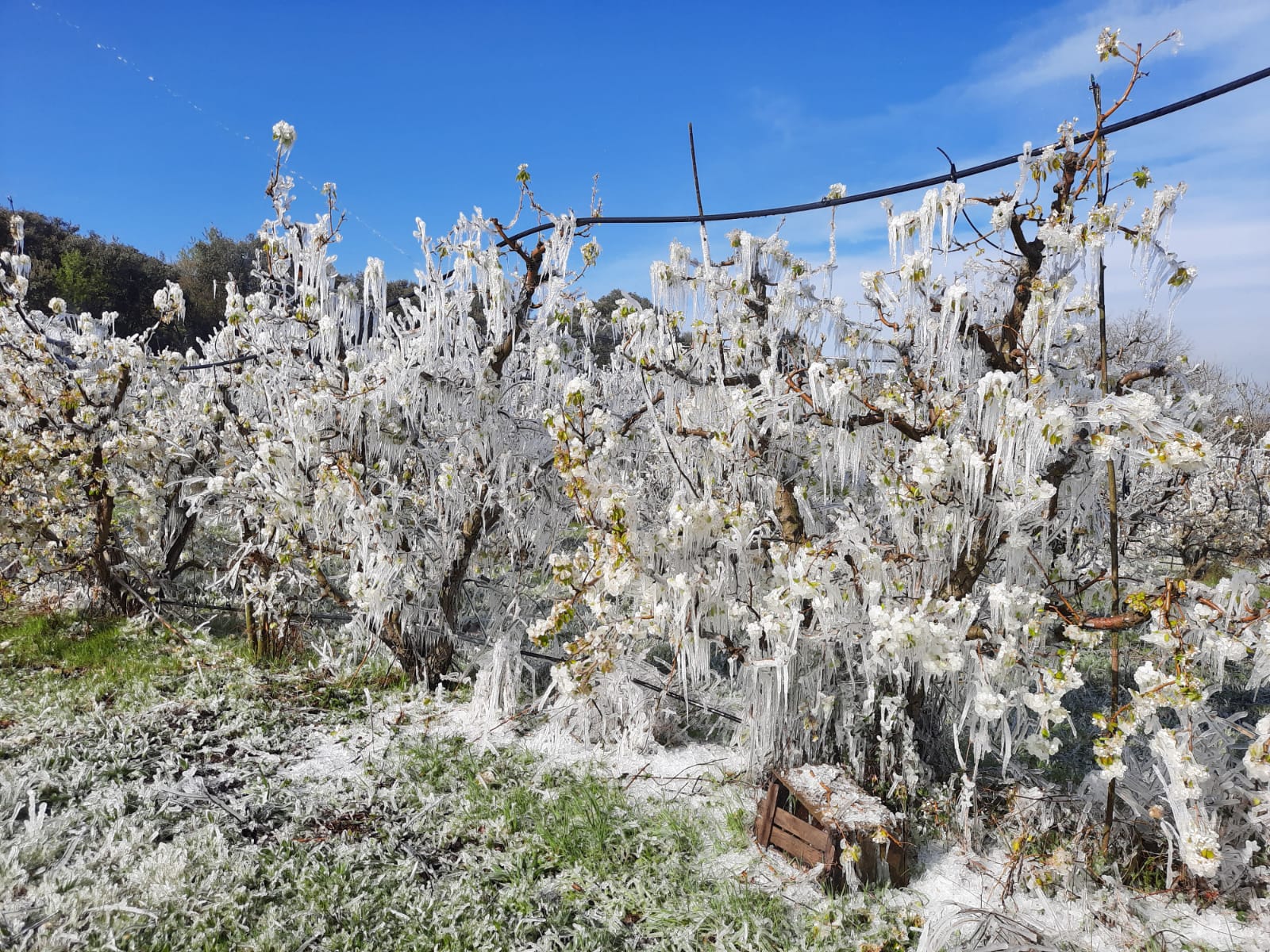 Marco Ibarz: "nos preocupa la pérdida de población" Marco Ibarz: "nos preocupa la pérdida de población"