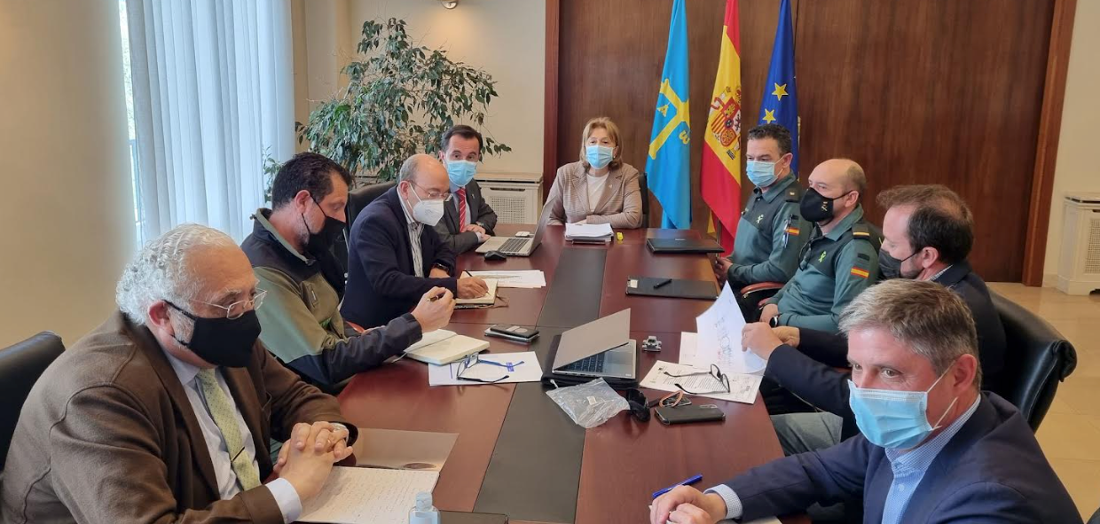 El Principado y la Delegación del Gobierno intensifican el plan de vigilancia activado por la muerte de aves en peligro de extinción El Principado y la Delegación del Gobierno intensifican el plan de vigilancia activado por la muerte de aves en peligro de extinción