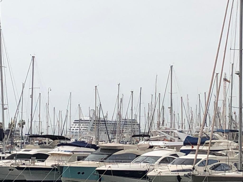 Alicante recibe más de 3.500 cruceristas que dejarán 180.000 euros en la ciudad esta Semana Santa Alicante recibe más de 3.500 cruceristas que dejarán 180.000 euros en la ciudad esta Semana Santa