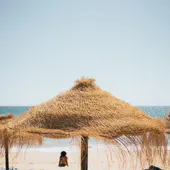 'Alicante Sur' prevé rozar el 100% de ocupación durante los días centrales de Semana Santa 'Alicante Sur' prevé rozar el 100% de ocupación durante los días centrales de Semana Santa