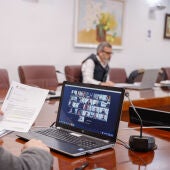 pleno l'alfas del pi