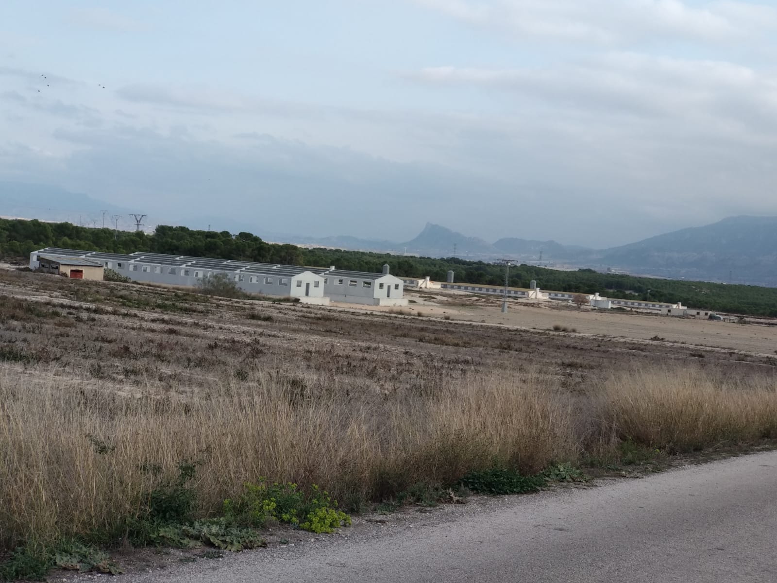 Ecologistas en Acción presenta alegaciones a dos nuevas ampliaciones de macrogranjas en Fuente Álamo Ecologistas en Acción presenta alegaciones a dos nuevas ampliaciones de macrogranjas en Fuente Álamo