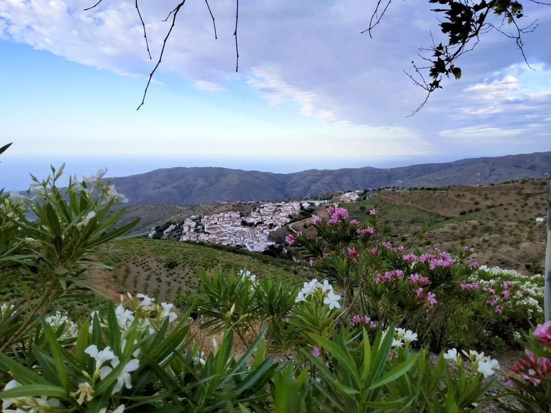 Margarita Castillo: " La Semana Santa ha sido muy buena en Albondón ". Margarita Castillo: " La Semana Santa ha sido muy buena en Albondón ".