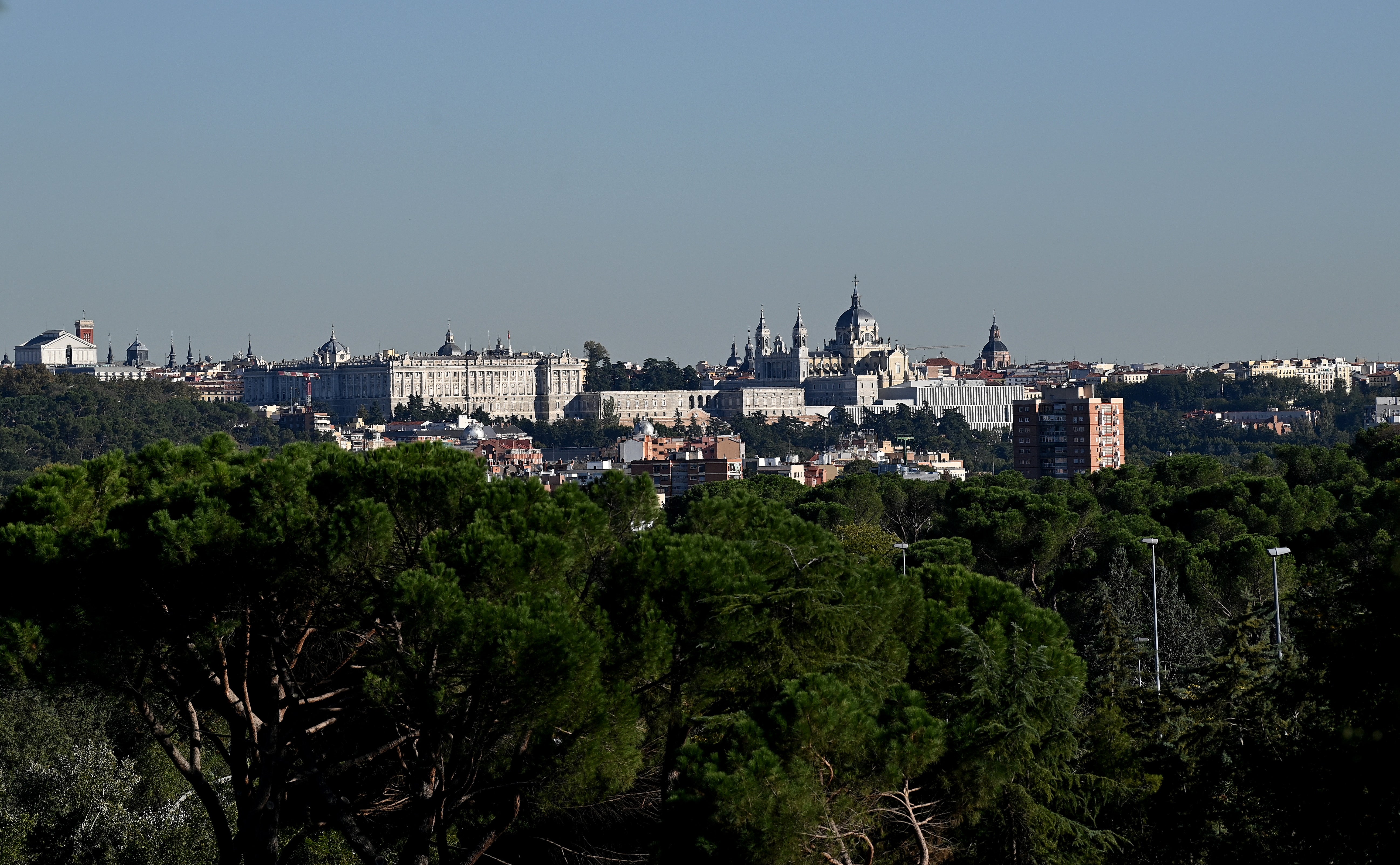 ¿Cómo pueden convertirse las ciudades en lugares más verdes? ¿Cómo pueden convertirse las ciudades en lugares más verdes?
